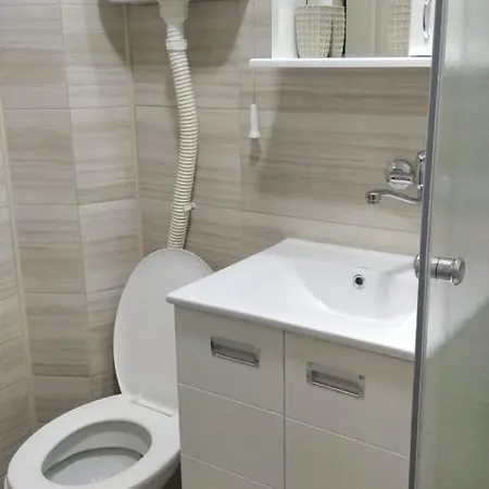 4 - Janja Soko Banja