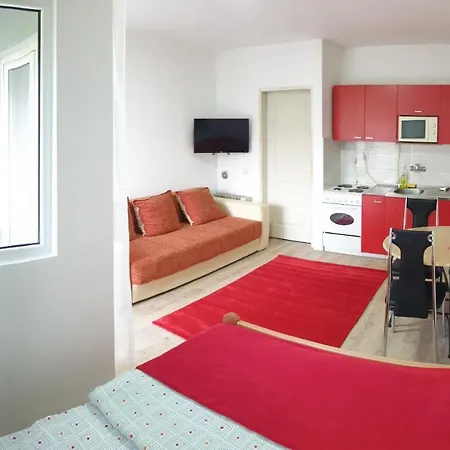 4 - Janja * Soko Banja