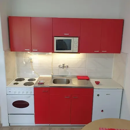 4 - Janja Soko Banja