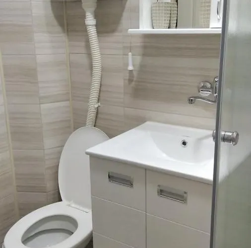 4 - Janja Soko Banja