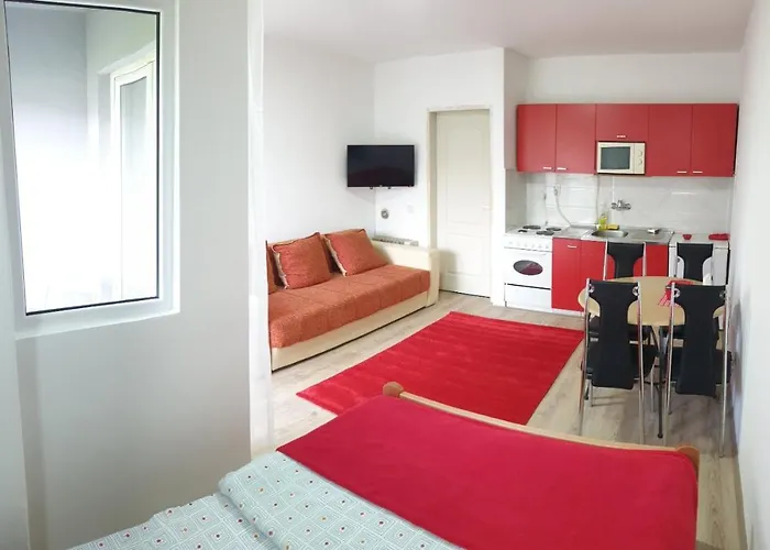 4 - Janja * Soko Banja