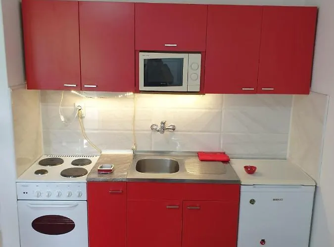 4 - Janja Soko Banja